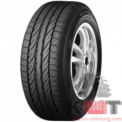 Bridgestone Blizzak DM-V2